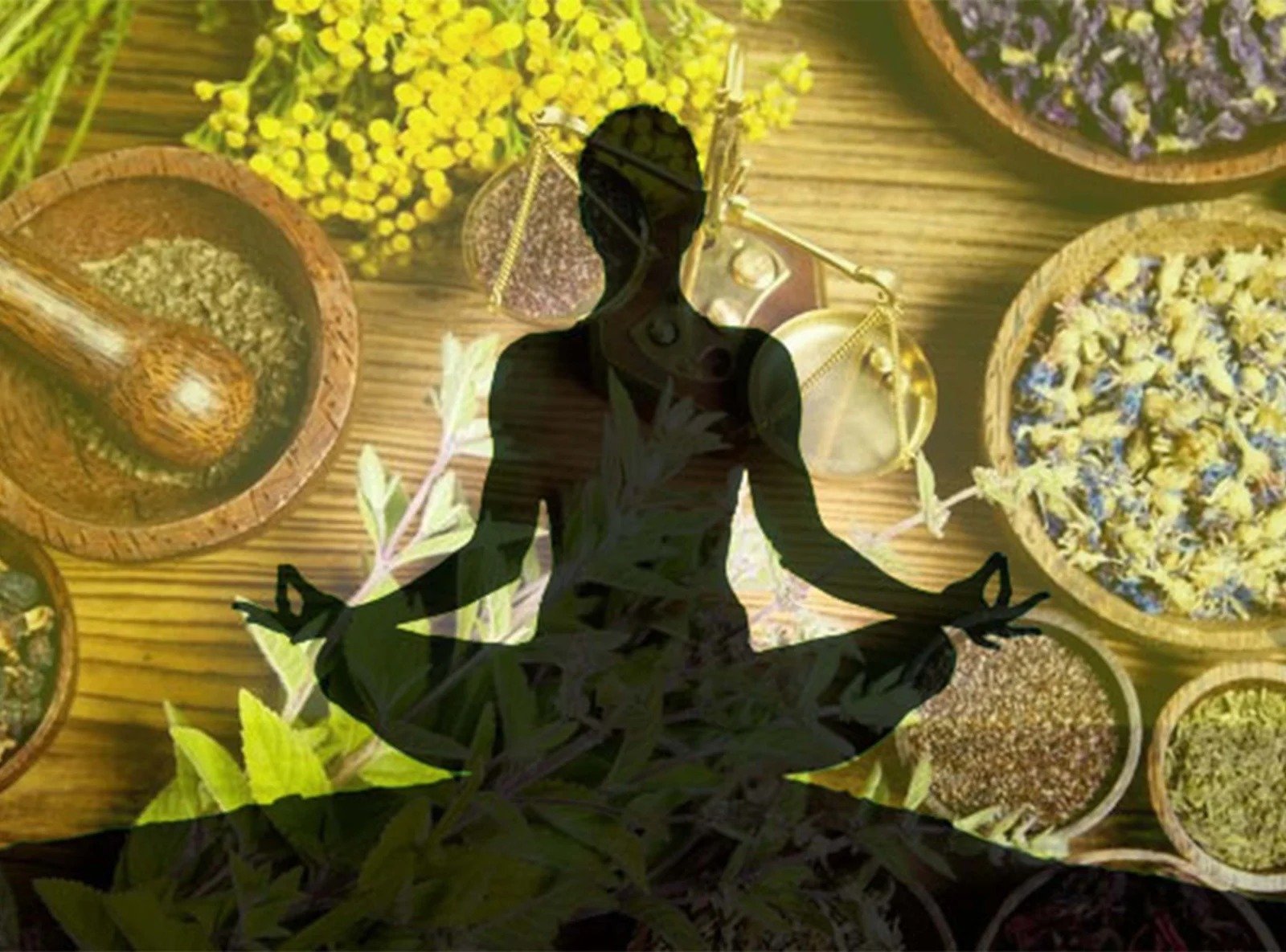 Bachelor of Naturopathy and Yoga Sciences